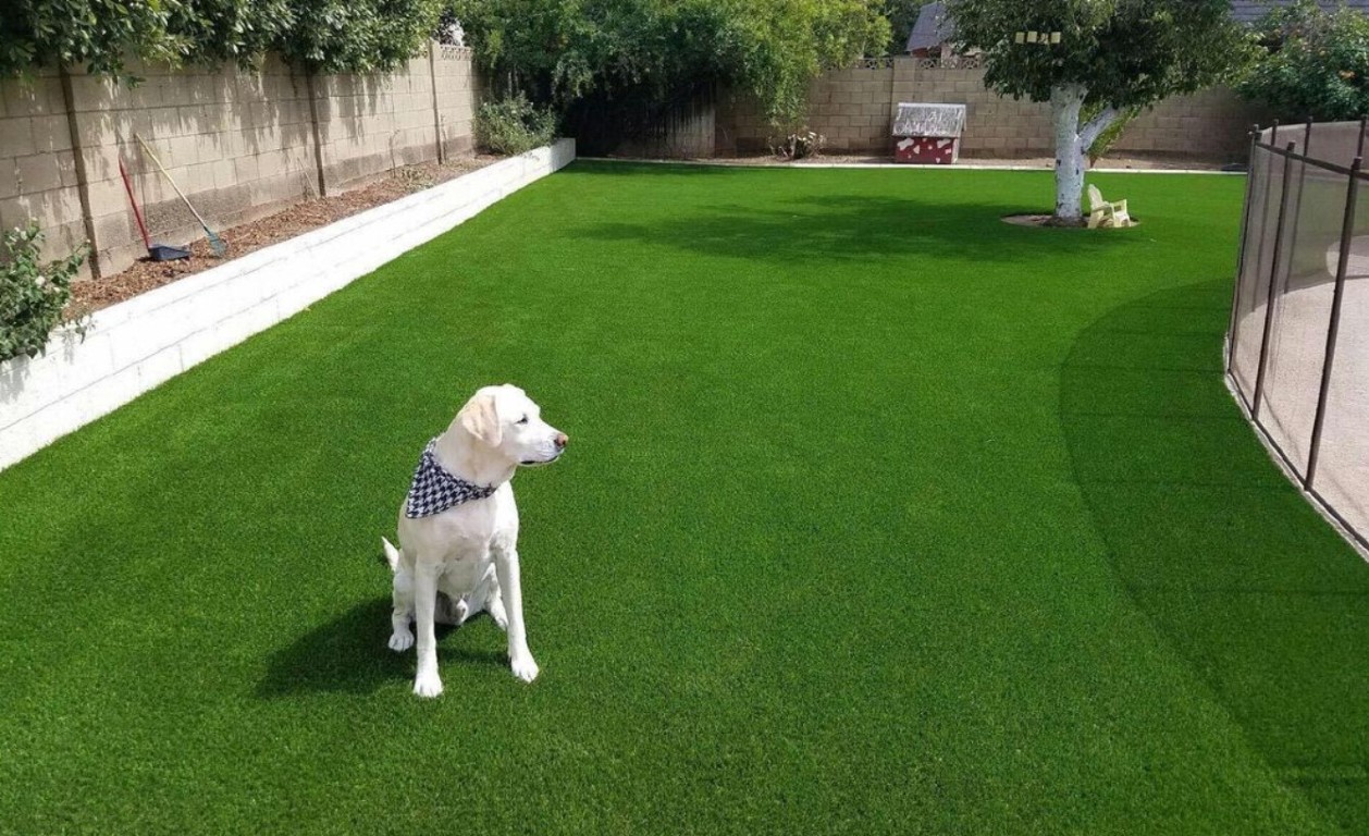 Pet Turf / Dog Turf Systems installation in Germantown, MD